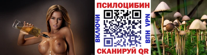 ОМГ ОМГ рабочий сайт  где найти   Болгар  Псилоцибиновые грибы ЛСД 